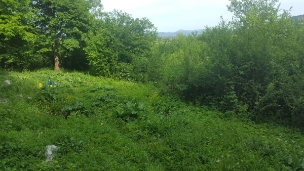 Urhov habitat lepo zarascen 2020 05 22