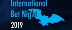 NOC NETOPIRJEV2019 Logo