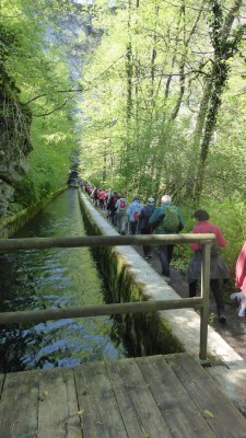 Obiskovalci Scilkine poti 2 Drustva za zdravje srca in ozilja ob Planinski jami 2022 05 04 Jana Laganis splet