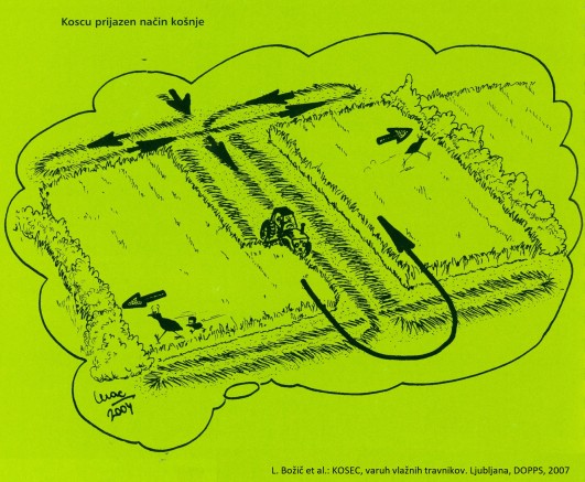 2019 8 30 Kosnja prijazna kosci Shema L.Bozic