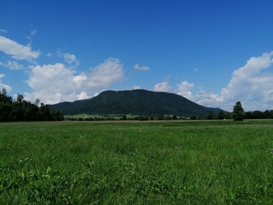 Renaturacija kanalov PP Obmocje Nina Doles 2021 08 splet