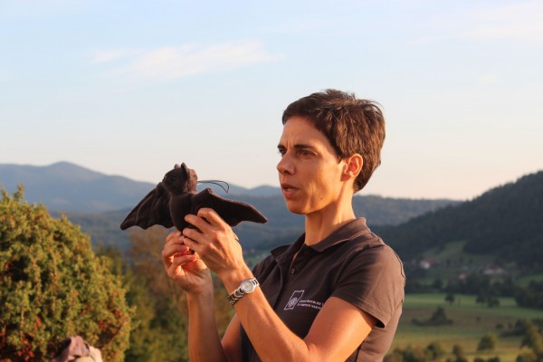 Noc netopirjev 2020 2 Nina Doles Spletka